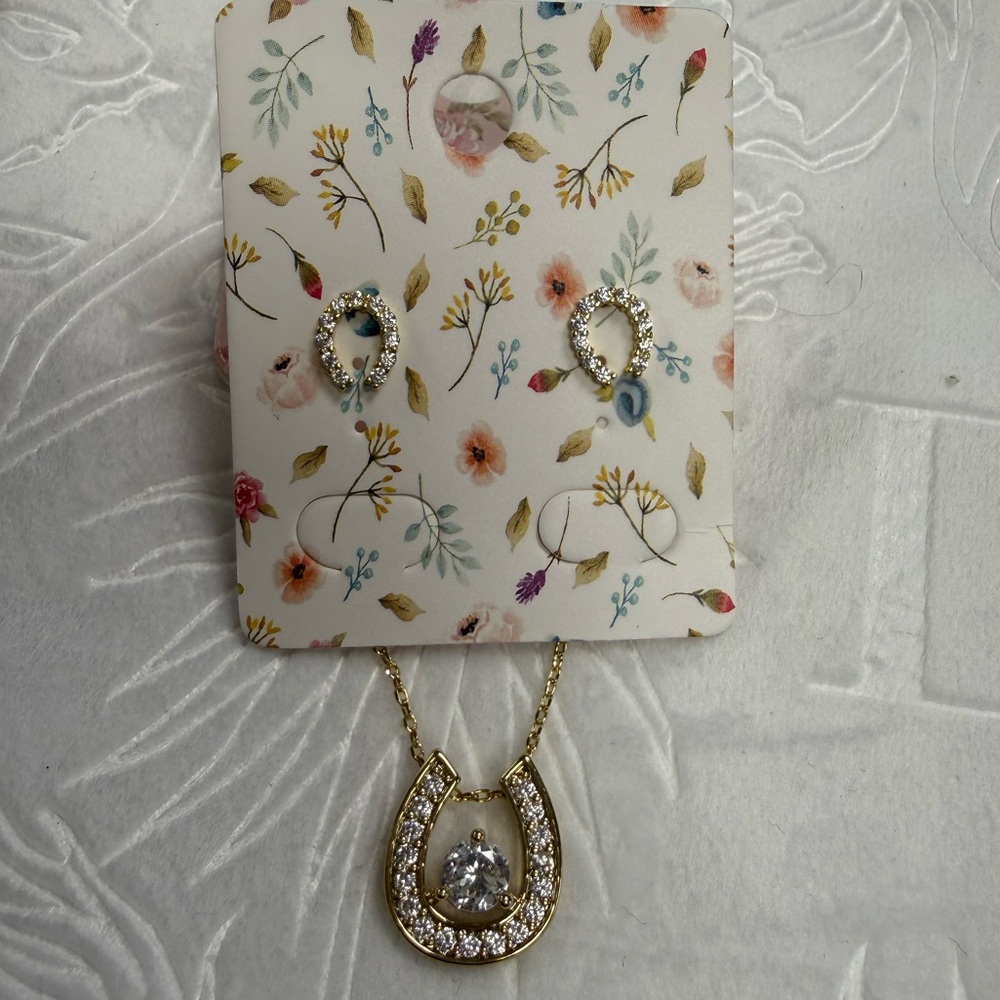 Stunning Sterling Silver Horseshoe Necklace and Earring Set